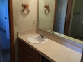 Master Bathroom 1